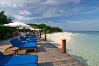 Jednorazowe wejście na basen oraz saunę z 50% zniżką!