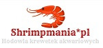 Shrimpmania hodowla krewetek akwariowych Małgorzata Soroka