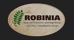 Robinia Marek Osiński Specjalistyczna pielęgnacja, wycinka i nasadzenia drzew